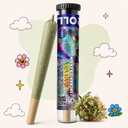 Enchanted Train Preroll