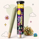 Trippy Mouse Preroll
